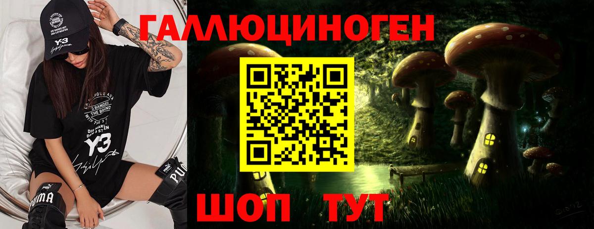 купить наркотик  Вход с VPN  Котлас  Галлюциногенные грибы GOLDEN TEACHER 